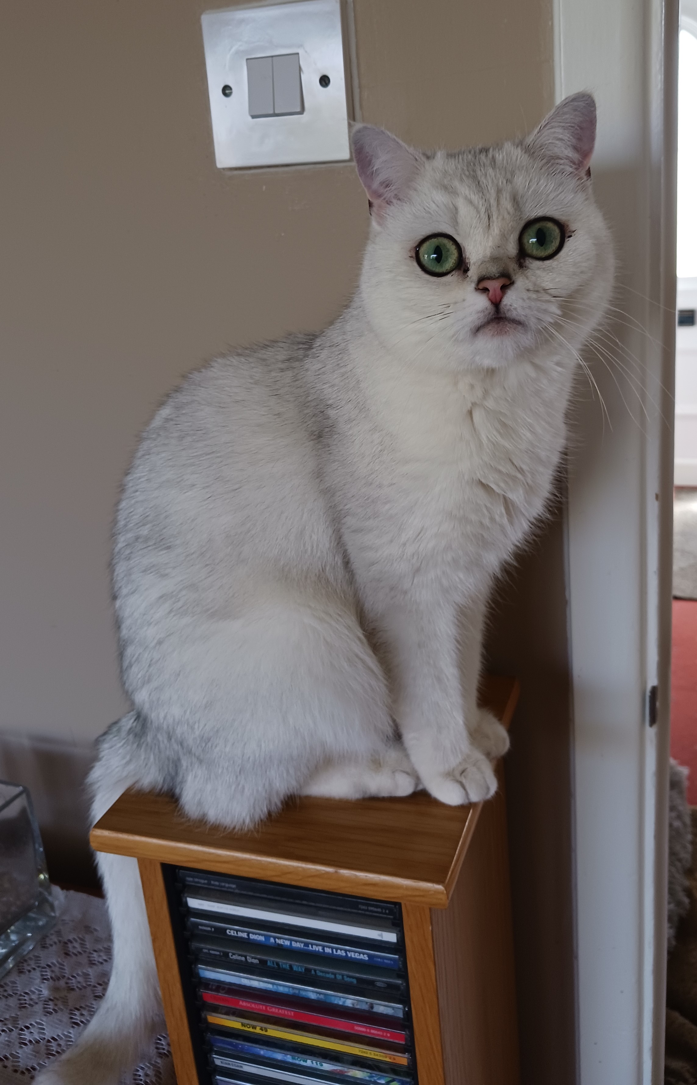 Penny
