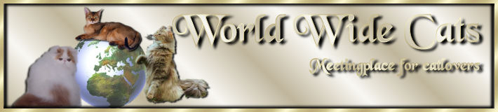 wwc banner
