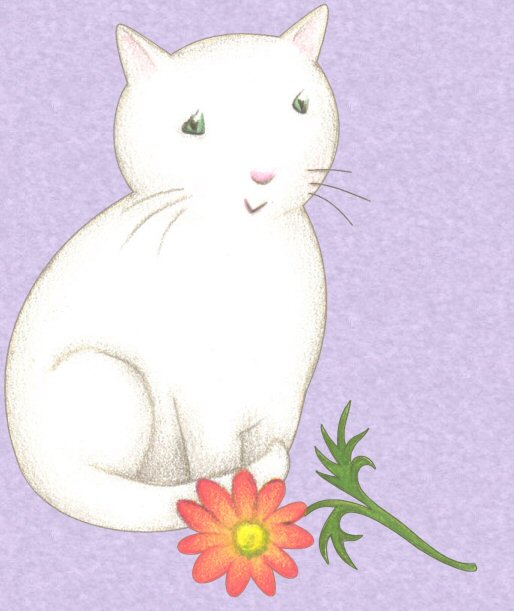 White cat