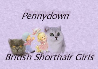 BSH