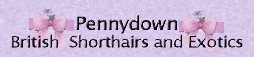 Pennydown