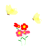 Animation